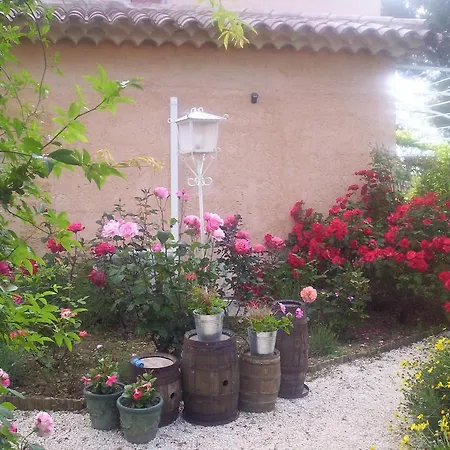 Les Glycines *