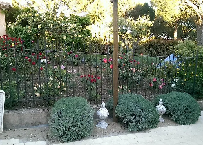 Les Glycines Holiday home Grimaud
