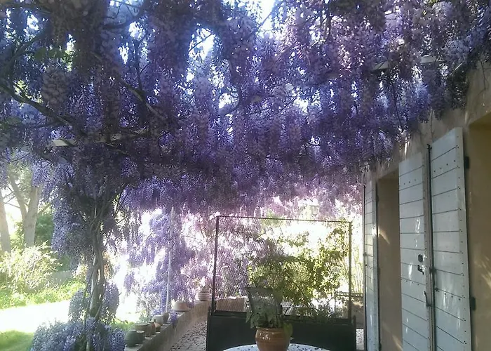 Les Glycines * Grimaud