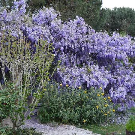 Les Glycines Bed & Breakfast 3*