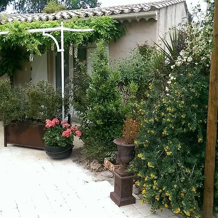 Les Glycines * Grimaud
