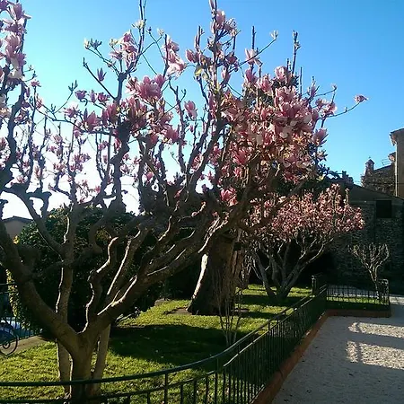 Les Glycines Holiday home Grimaud