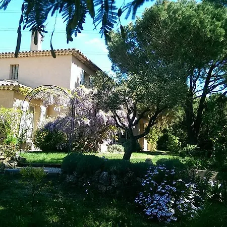 Les Glycines Grimaud