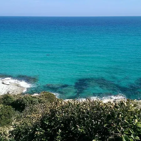 Les Glycines