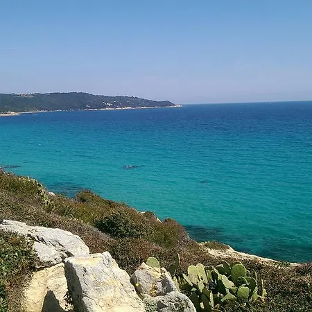 Les Glycines Grimaud