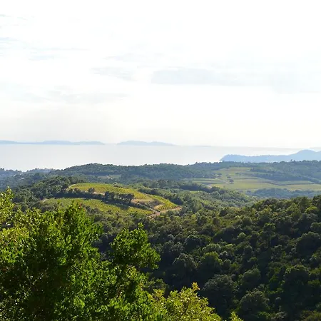 Les Glycines Grimaud