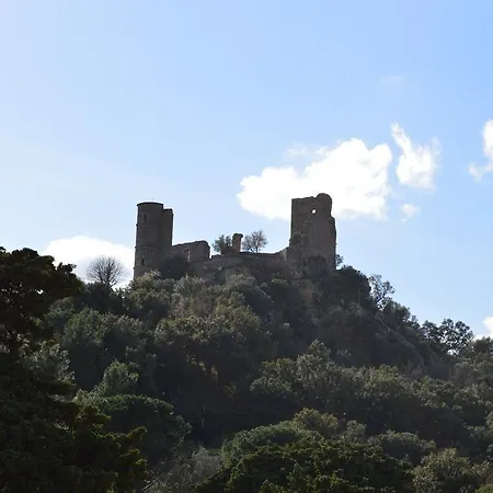 Les Glycines 3* Grimaud