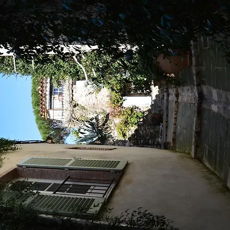 Les Glycines