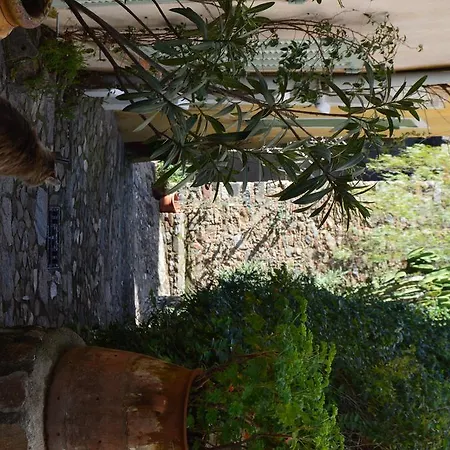 Les Glycines Ferienhaus Grimaud