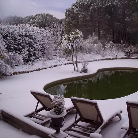 Les Glycines Grimaud