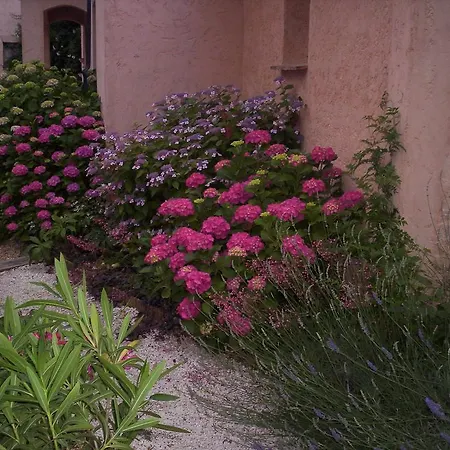 Les Glycines * Grimaud