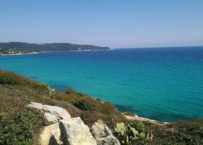 Les Glycines Grimaud