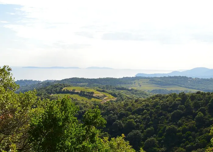 Les Glycines Grimaud