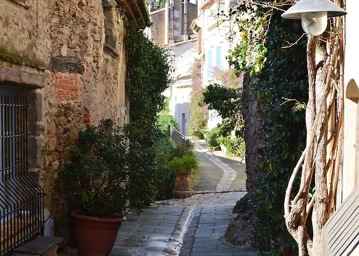 Les Glycines Vakantiehuis Grimaud