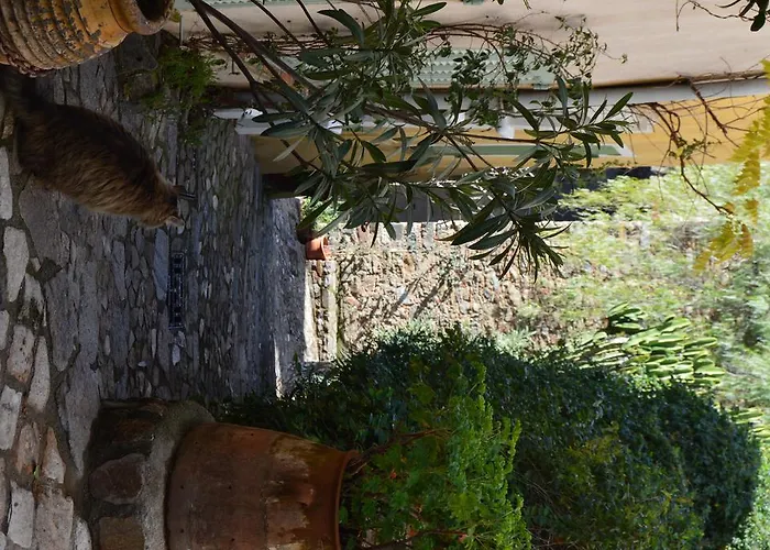 Les Glycines Ferienhaus Grimaud
