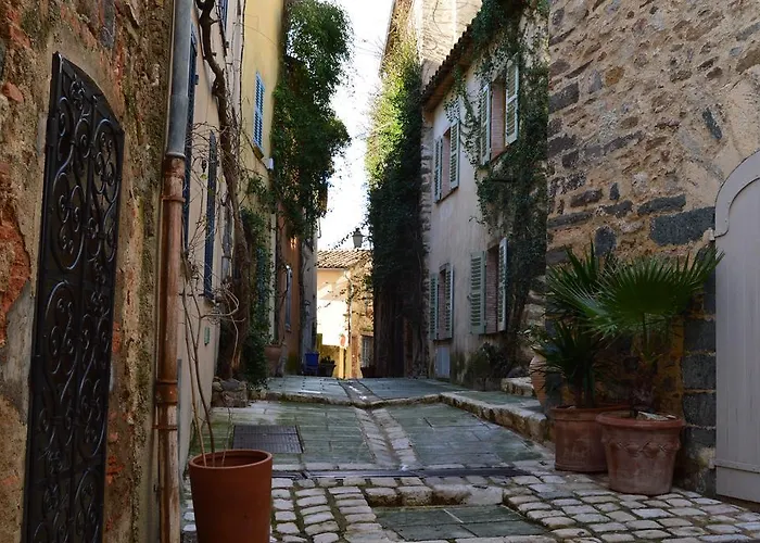 Les Glycines *