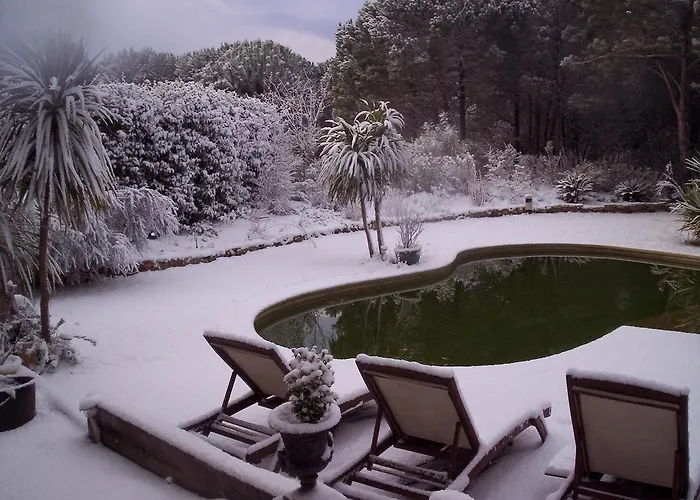 Les Glycines Grimaud
